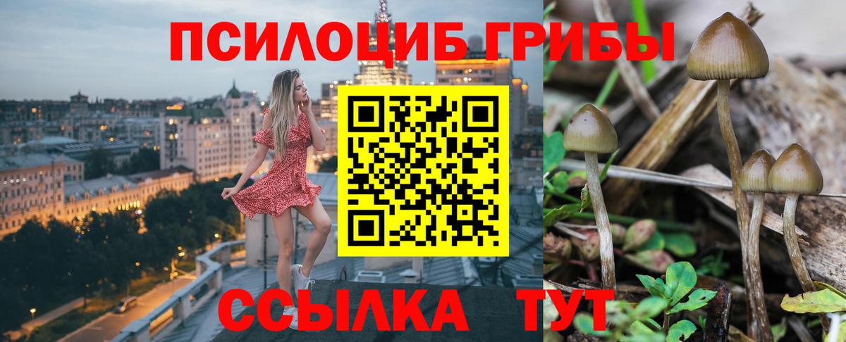 Псилоцибиновые грибы MAGIC MUSHROOMS Алексеевка