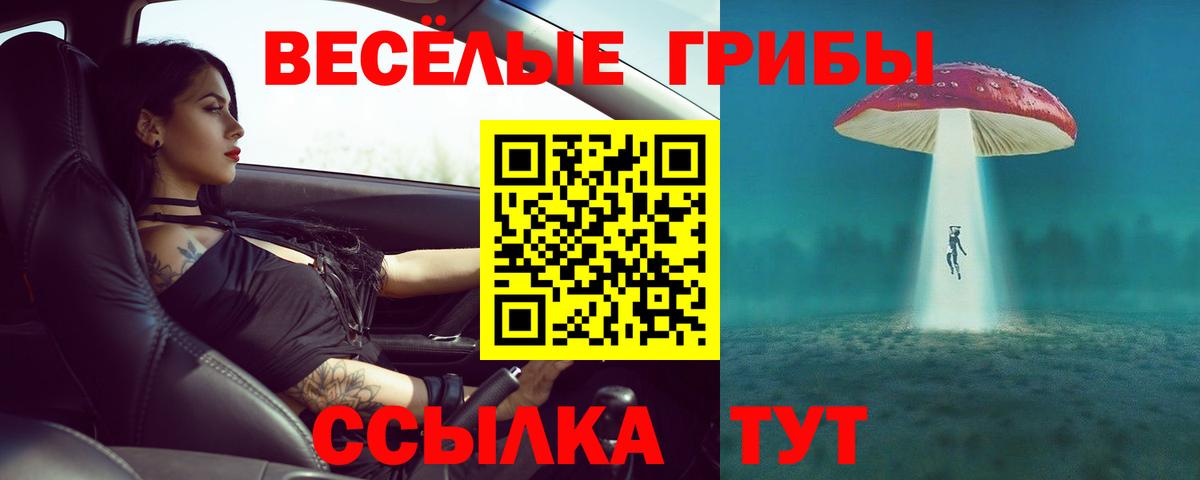 Галлюциногенные грибы ЛСД  Псилоцибиновые грибы MAGIC MUSHROOMS  Алексеевка  Вход с VPN 